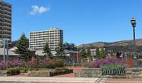 IMG 3927