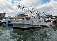 IMG 3953