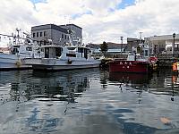 IMG 3956