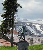 IMG 3958