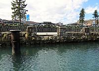 IMG 3959