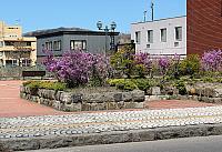 IMG 3993
