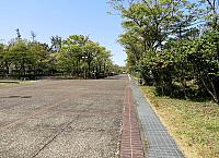 IMG 3826