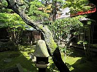 IMG 3834