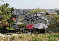 IMG 3860