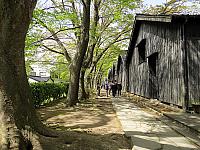 IMG 3873