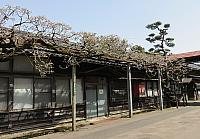 IMG 3884