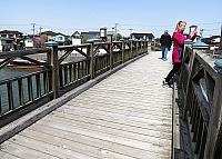 IMG 3888