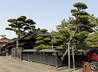 IMG 3909