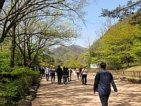IMG 3609