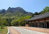 IMG 3615