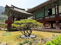 IMG 3644