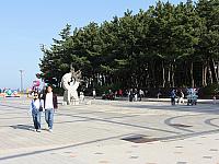 IMG 3697