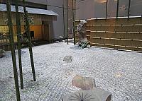 IMG 3257