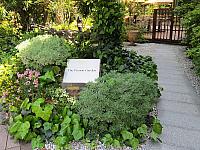 IMG 3260