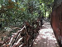 IMG 3262