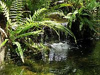 IMG 3277