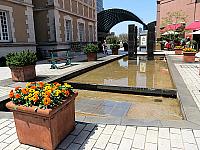 IMG 3284
