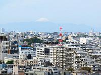 IMG 3311
