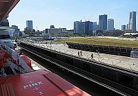 IMG 3320
