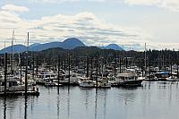 IMG 4258