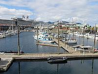 IMG 4262