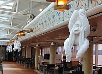 IMG 4290