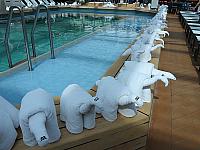 IMG 4299