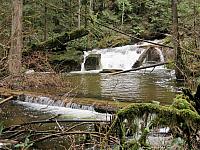 IMG 7062