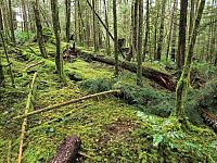 IMG 7070