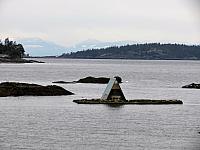IMG 7087