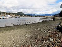 IMG 7117