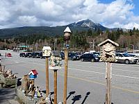 IMG 7149