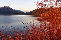 IMG 7175