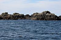 IMG 7198