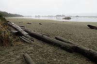 IMG 7235