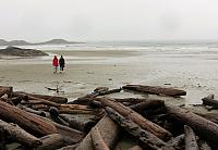 IMG 7247