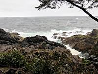 IMG 7252 (2)