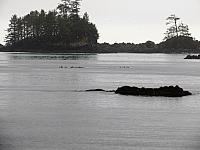 IMG 7263