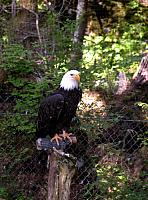 Alaska2005B 140