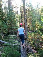 IMG 1180