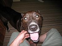 IMG 1292 copy