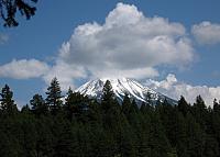 IMG 1310 copy