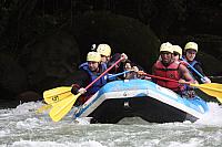 IMG 7231